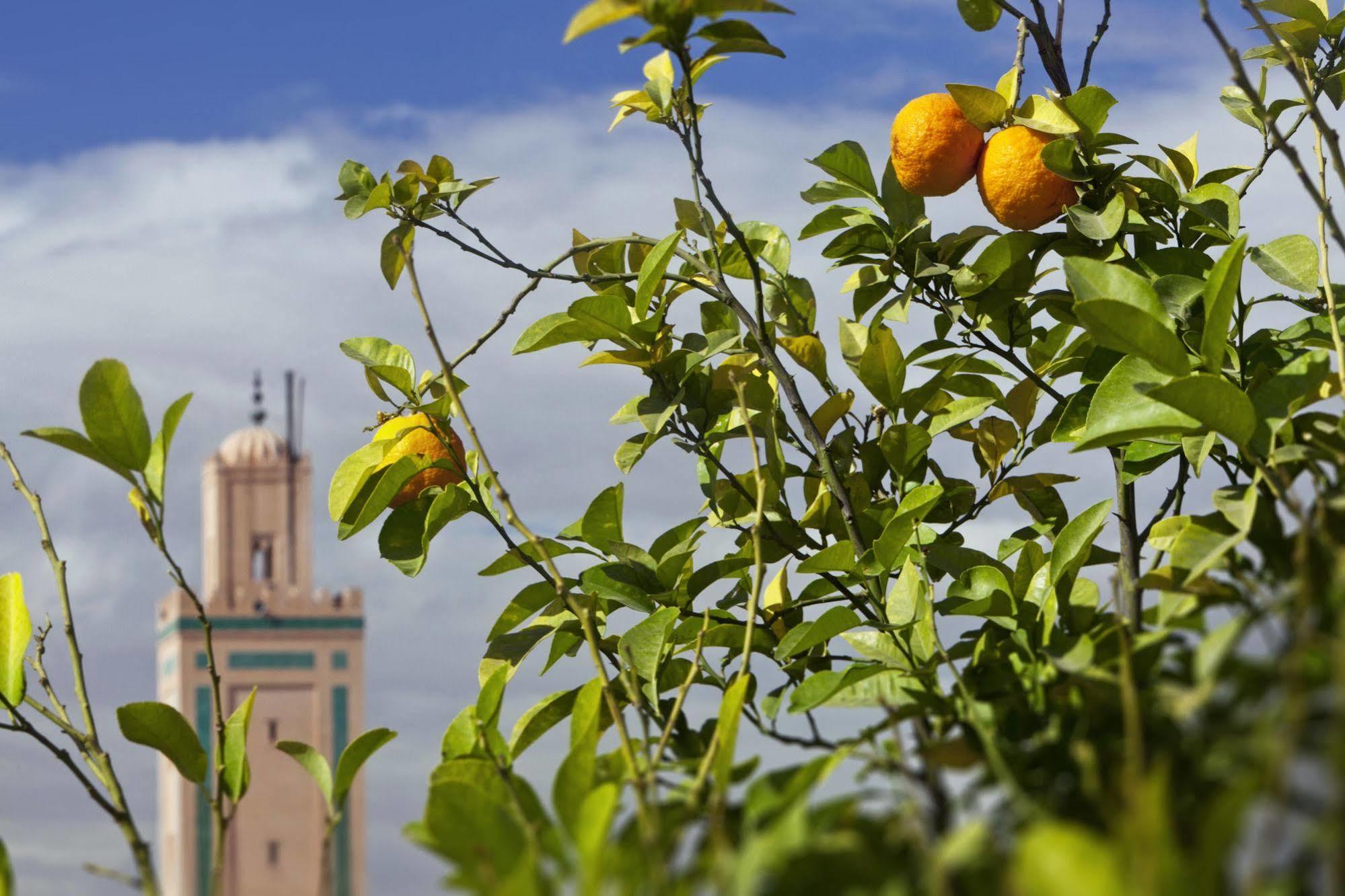 Le Farnatchi Otel Marakeş Dış mekan fotoğraf